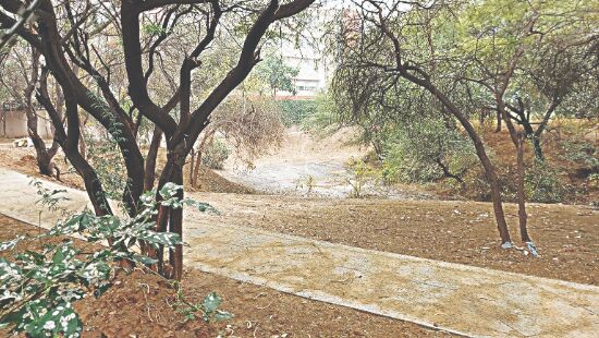 MCG awards 1,500 sq m Aravallis land to petrol pump, residents erupt in protest