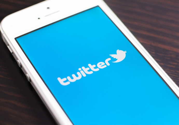 Twitter interim grievance officer for India quits