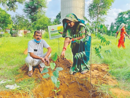 This monsoon, record 5L saplings planted in Ggm