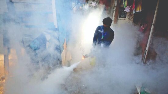 Dengue cases now highest  in 6 years, tally crosses 5K