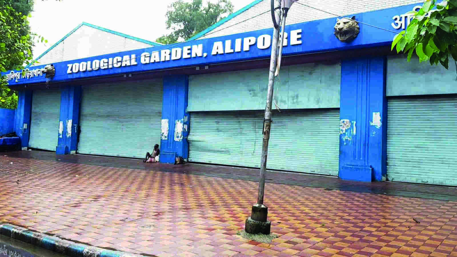 Alipore Zoo to hold its annual fest from Nov 14