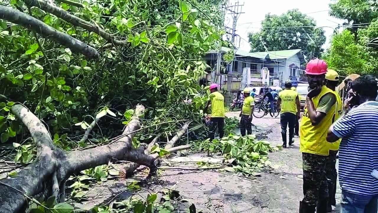 Maynaguri begins recovery   after devastating storm