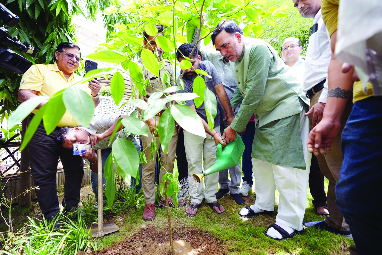 Rai urges Delhiites to plant trees on rooftops