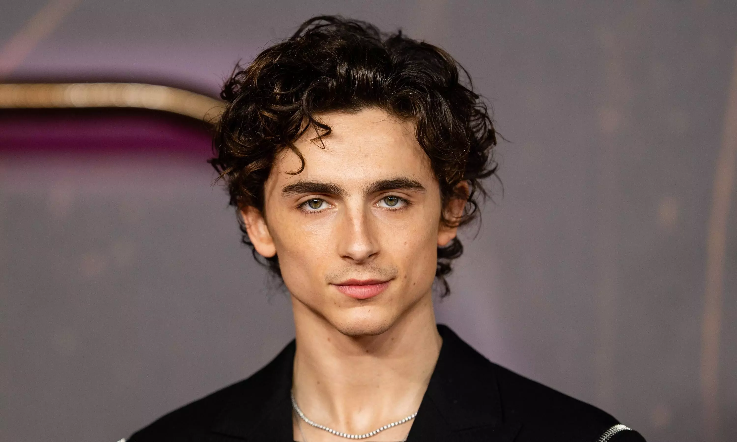 Timothée Chalamet joins Josh Safdie for upcoming film inspired by Marty Reisman