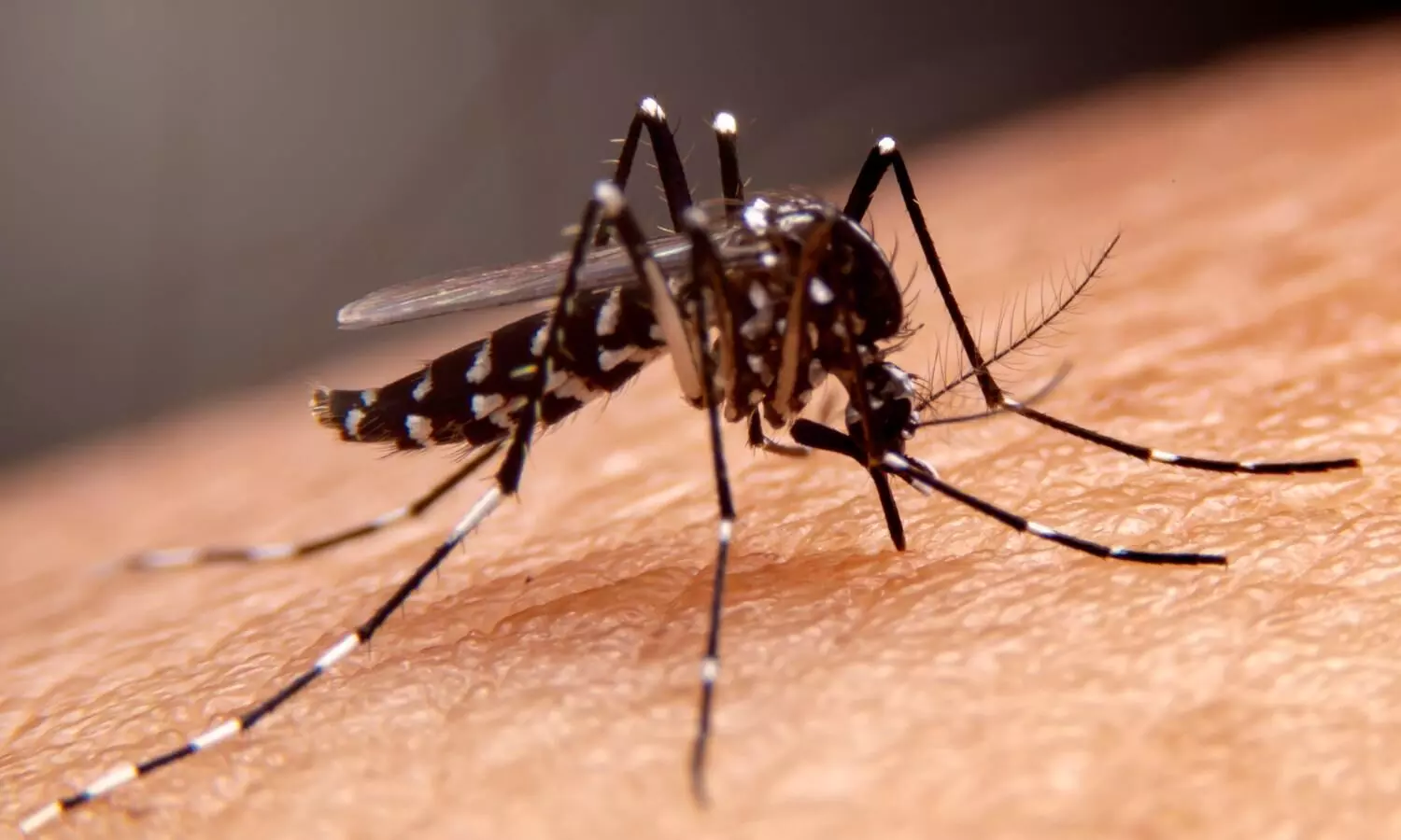 Surge in dengue cases in Bengal, health dept says situation not alarming