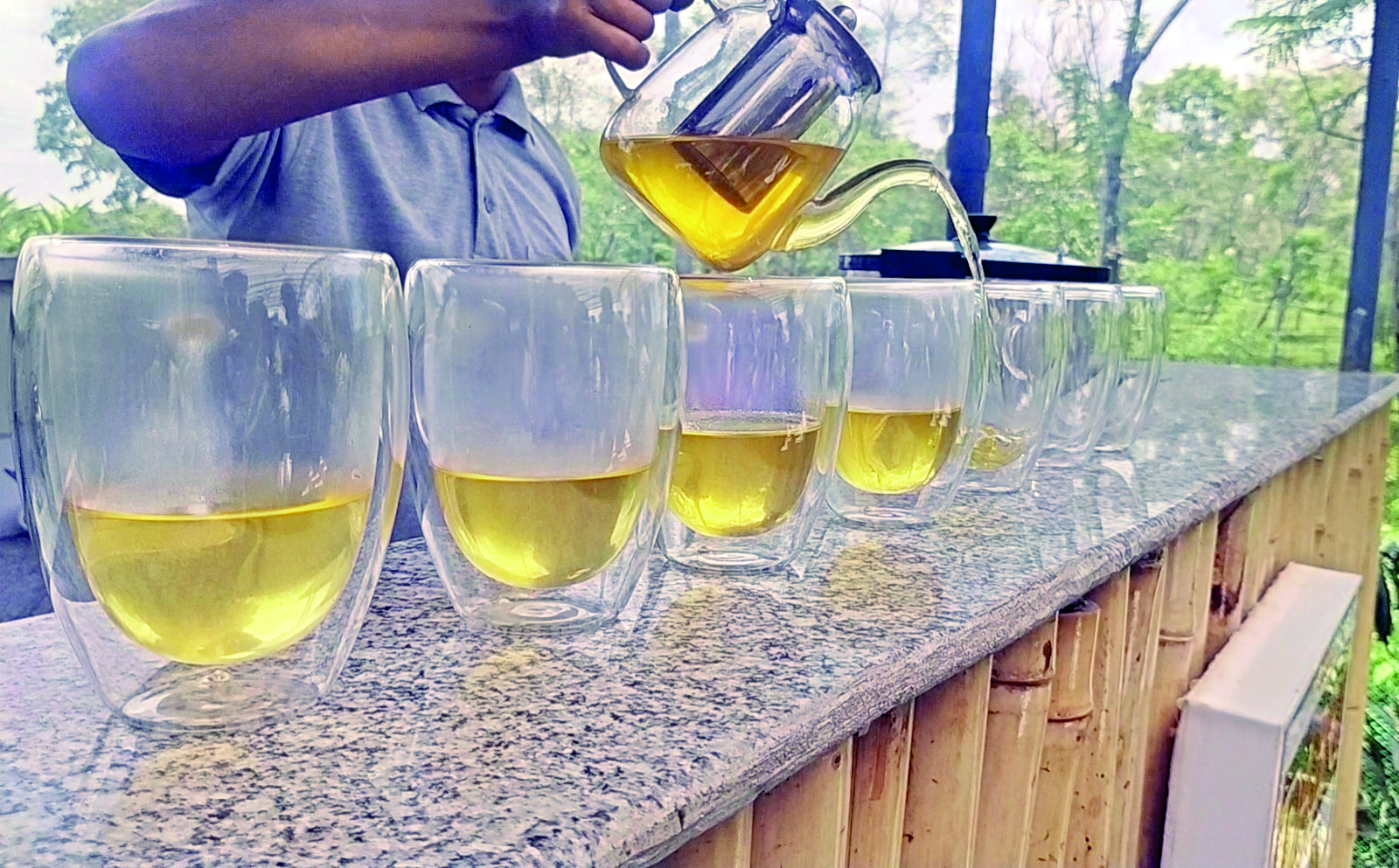 Madherdabri Tea Garden introduces ‘Mango Tea’