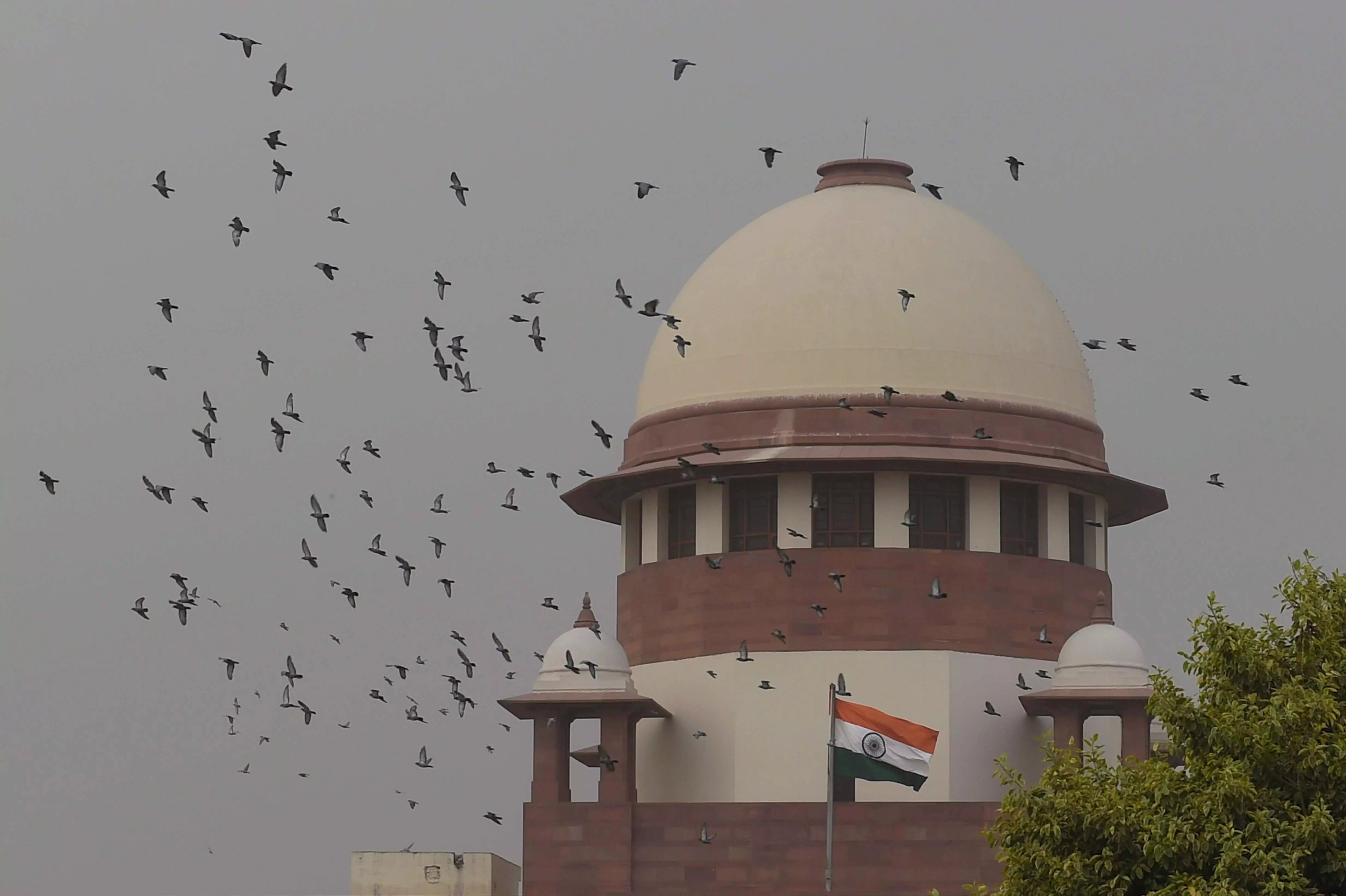 SC expands expert panel’s role, orders comprehensive review and reform of NTA’s examination processes