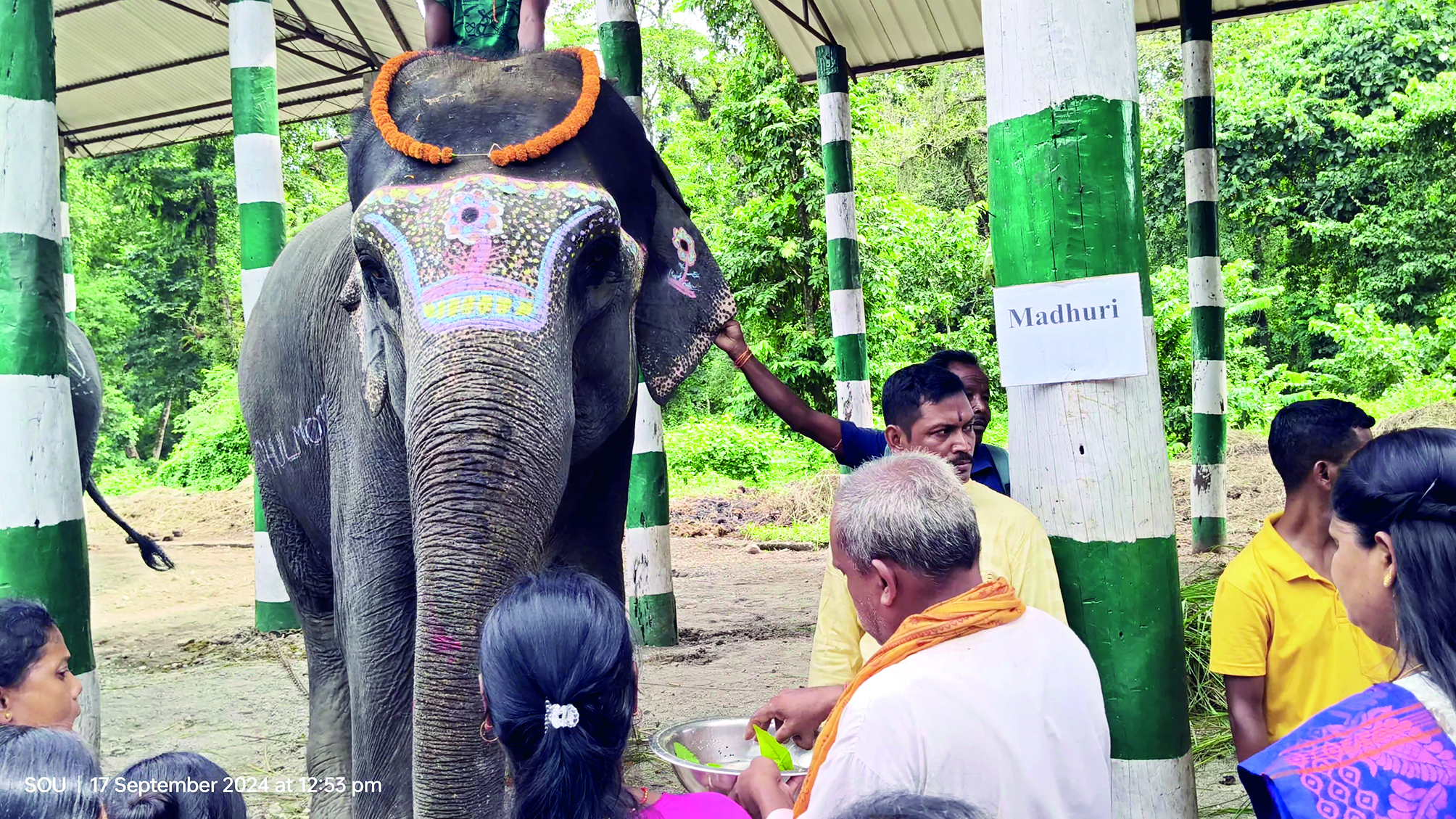 Elephants worshipped   at Gorumara Park