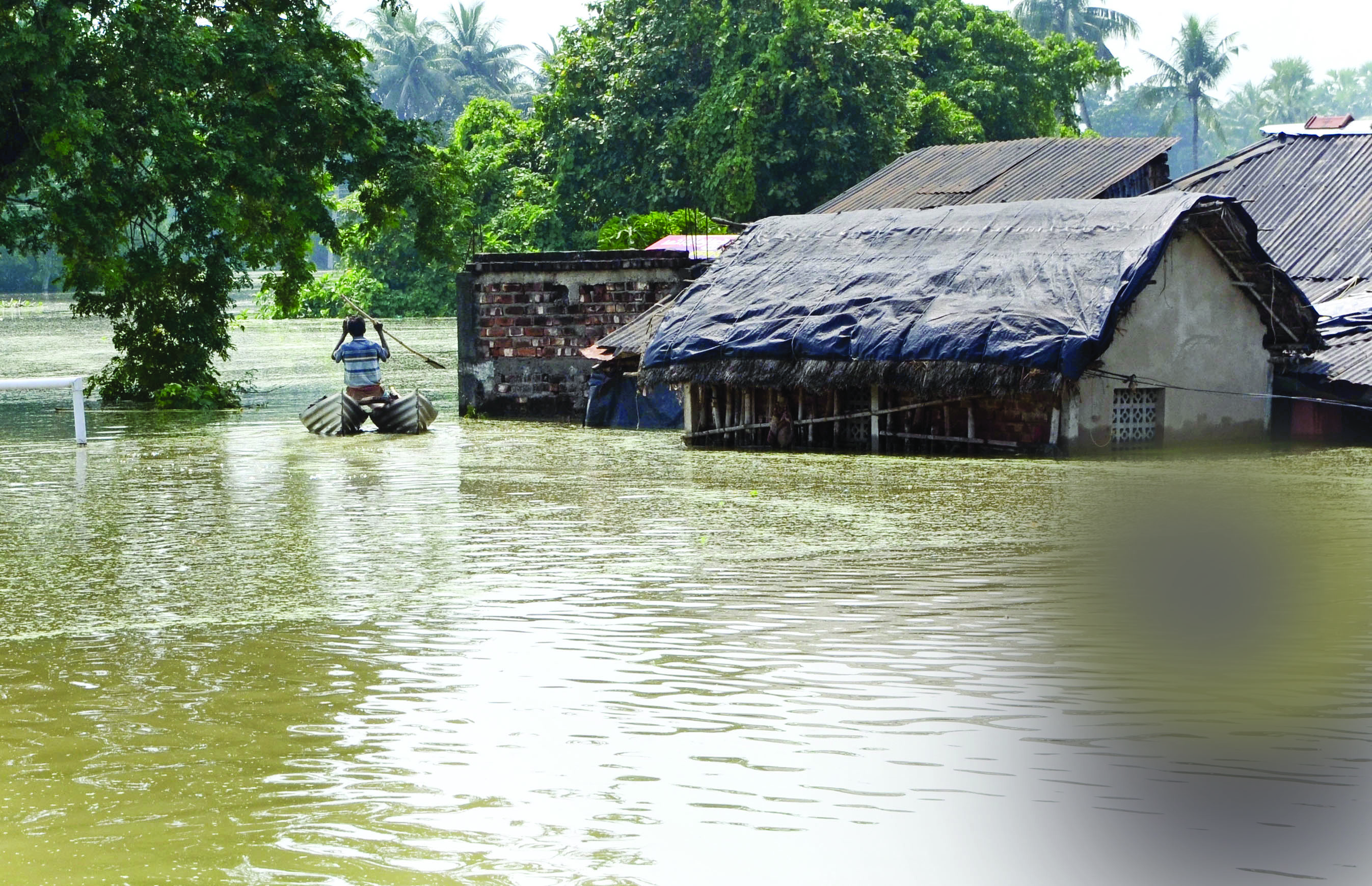 Mamata urges caution as Hooghly  reports 39 snake bite cases in a week