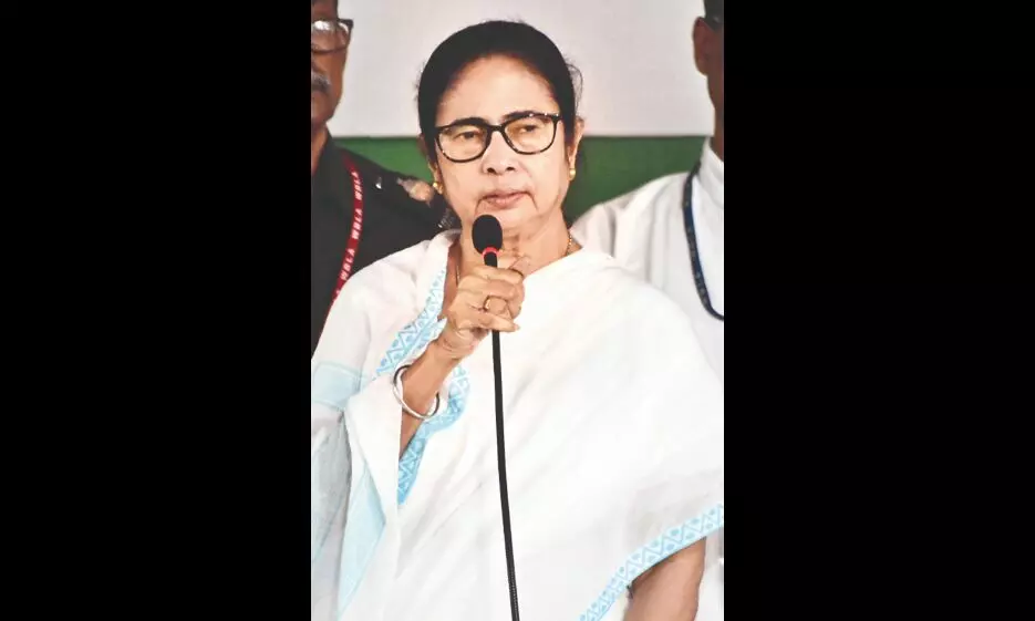 Some trying to create political unrest in the Hills: Mamata