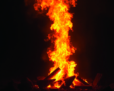 Fire at a banquet hall in Howrah, none hurt