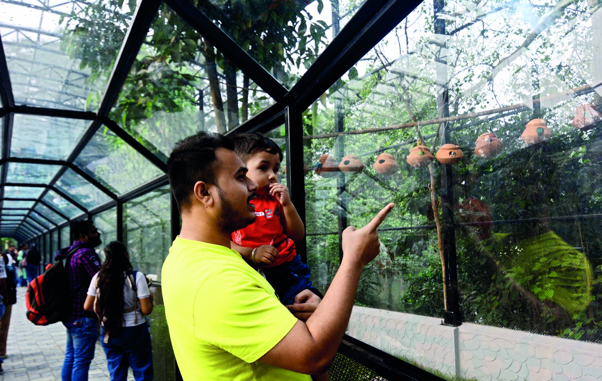 Alipore Zoo’s bird walkway inaugurated