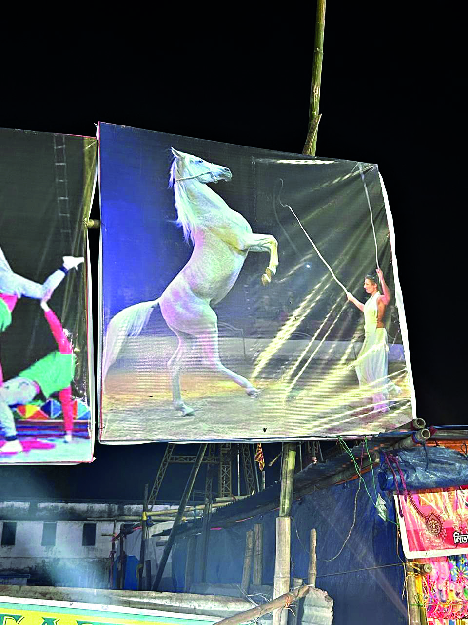 Police seize horse from circus   at Cooch Behar Rash Mela