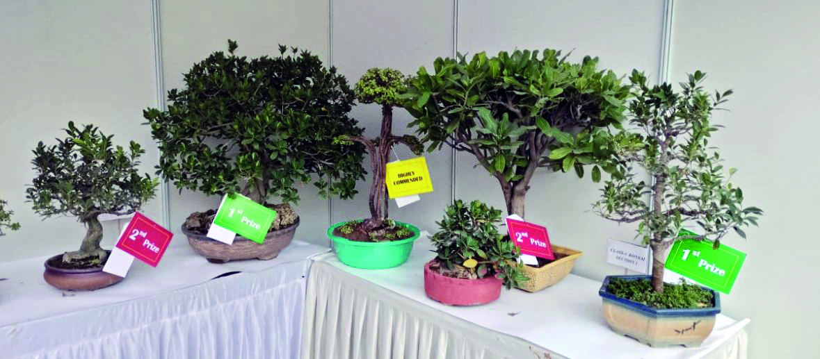 Delhi Tourism hosts the second Bonsai & Chrysanthemum Fest