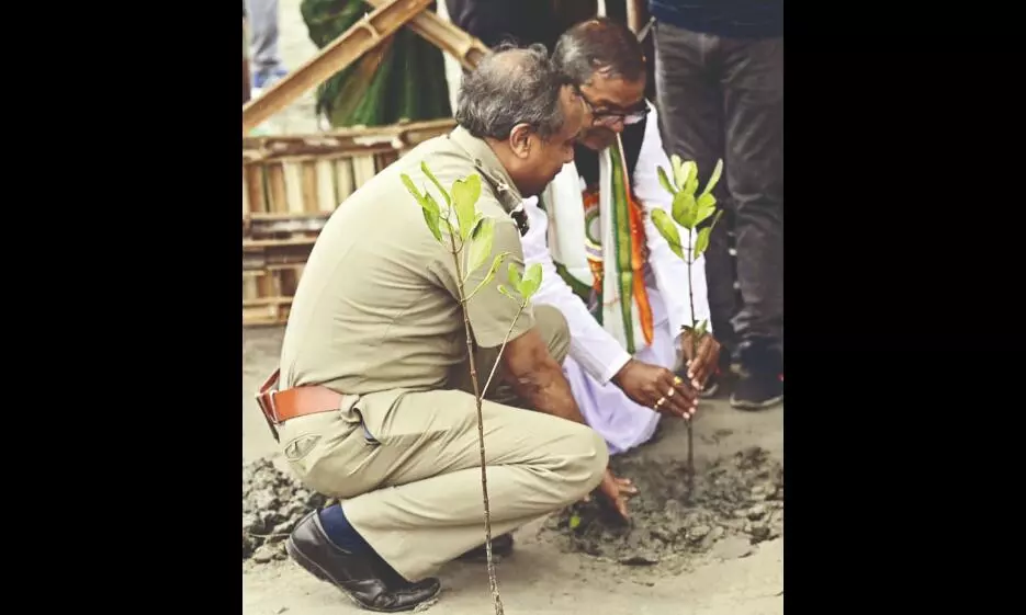 Mangrove shield for Sunderbans: 193-hectare identified for plantation