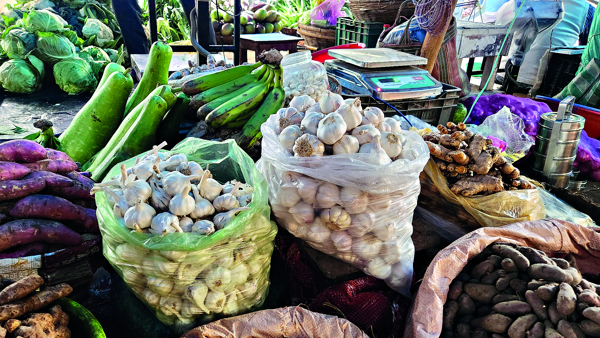 Rampant smuggling of banned Chinese garlic jeopardises sale of Indian garlic in Siliguri