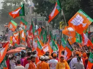 BJP sweeps urban local body polls in Uttarakhand, wins 10 of 11 mayoral seats