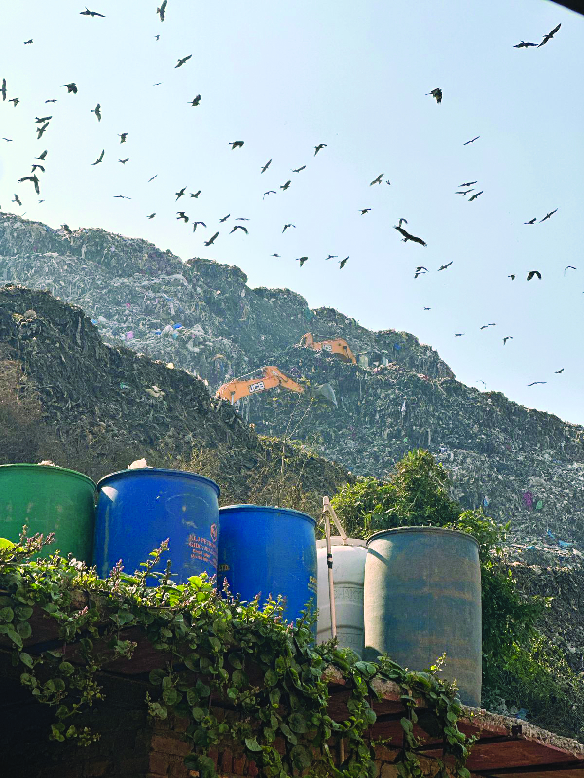 Ignored? 62-metre-high Bhalswa   landfill becomes a symbol of neglect