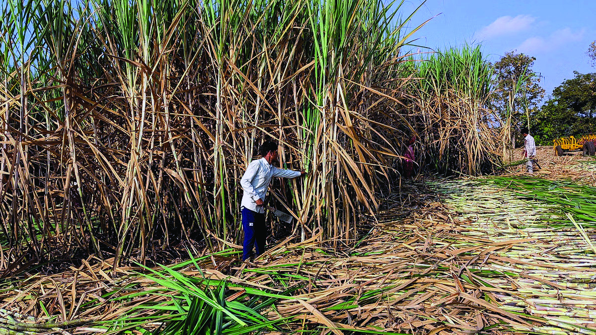 EBP programme: Cabinet approves revised Ethanol procurement prices