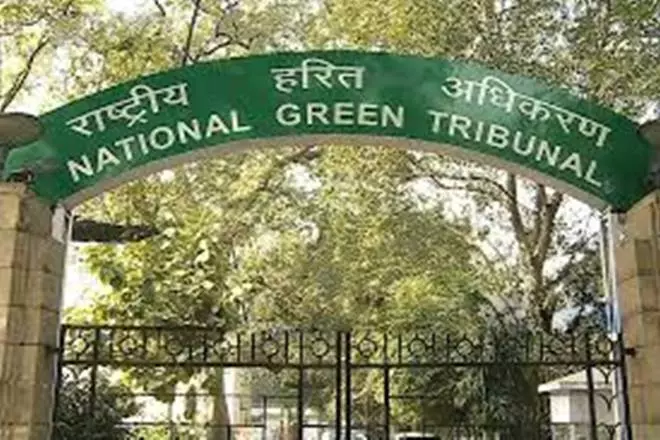 Complete desilting of 24 drains by May 31: NGT tells Delhi govt department