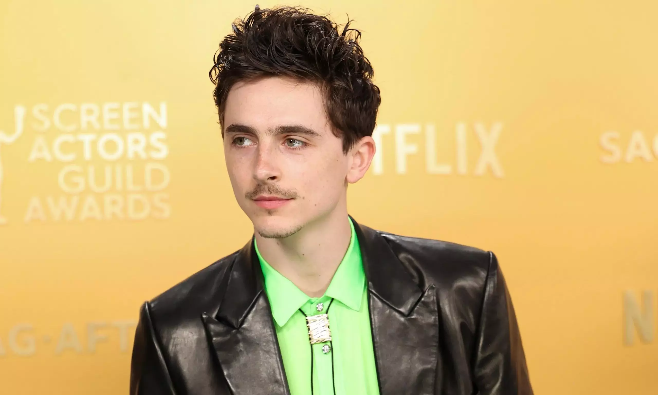 31st Screen Actors Guild Awards: Timothée Chalamet triumphs with best actor award