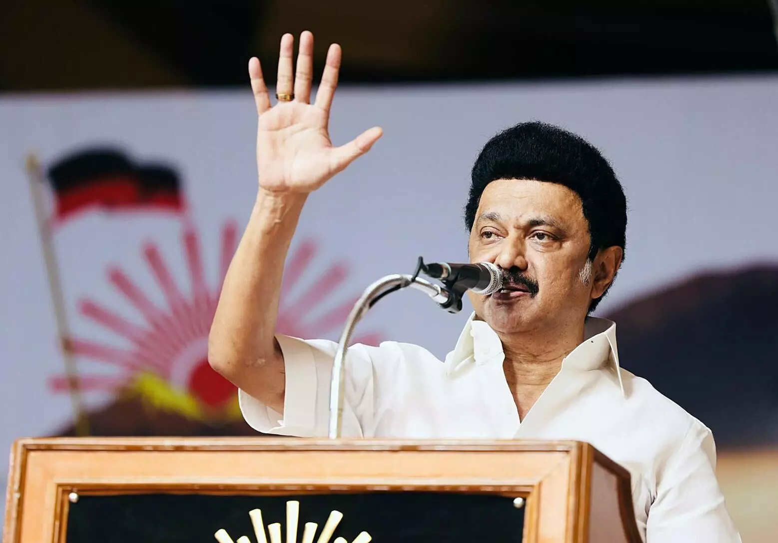 Push for monolithic Hindi identity kills ancient mother tongues: Tamil Nadu CM MK Stalin