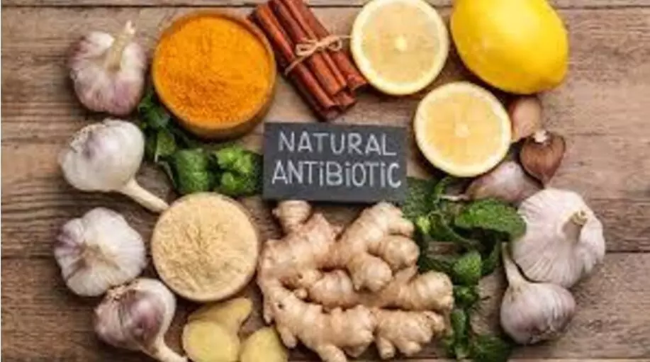 How can you balance antibiotics and natural remedies for infections?