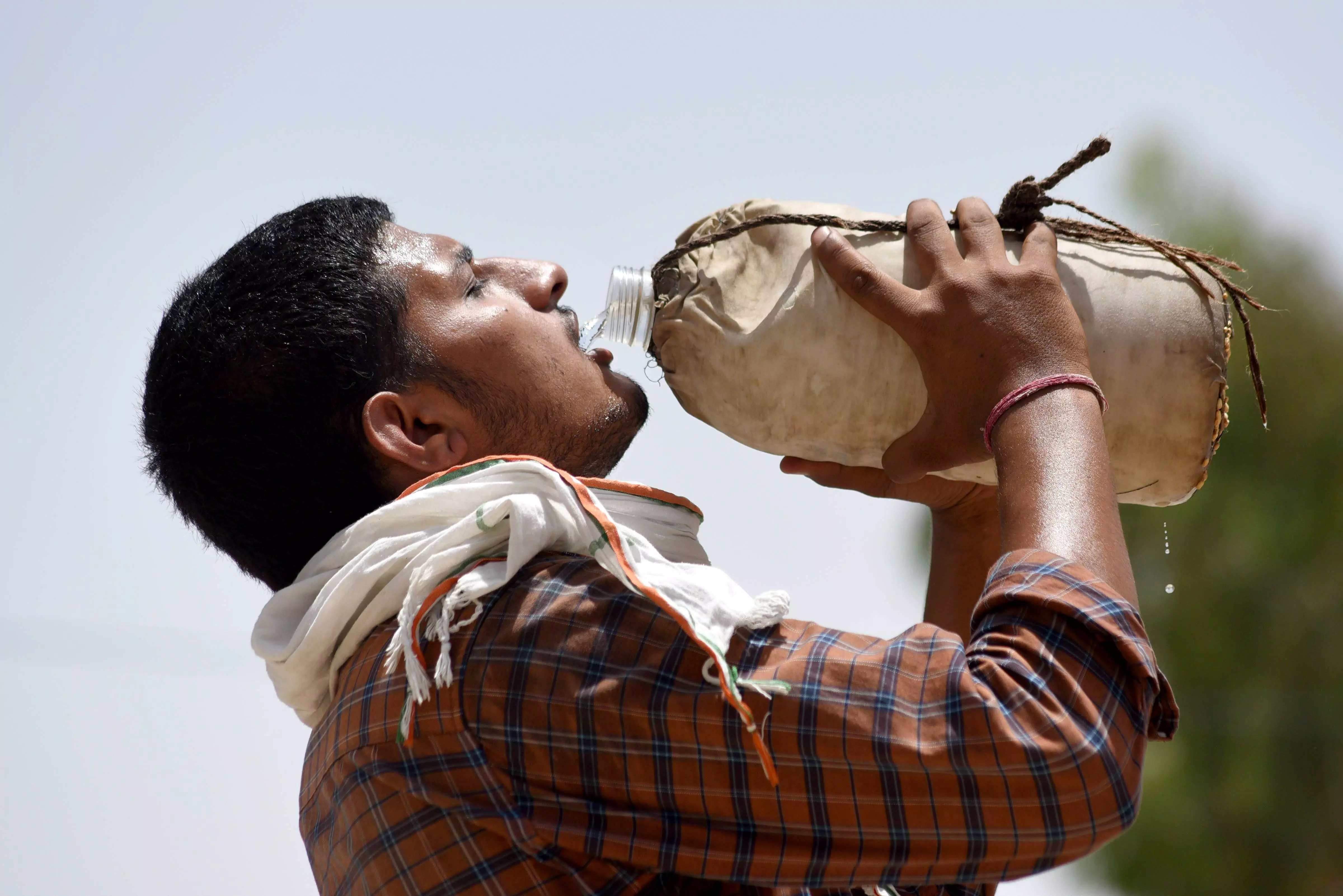 India most likely undercounting heat-related deaths: Former WHO chief scientist Soumya Swaminathan