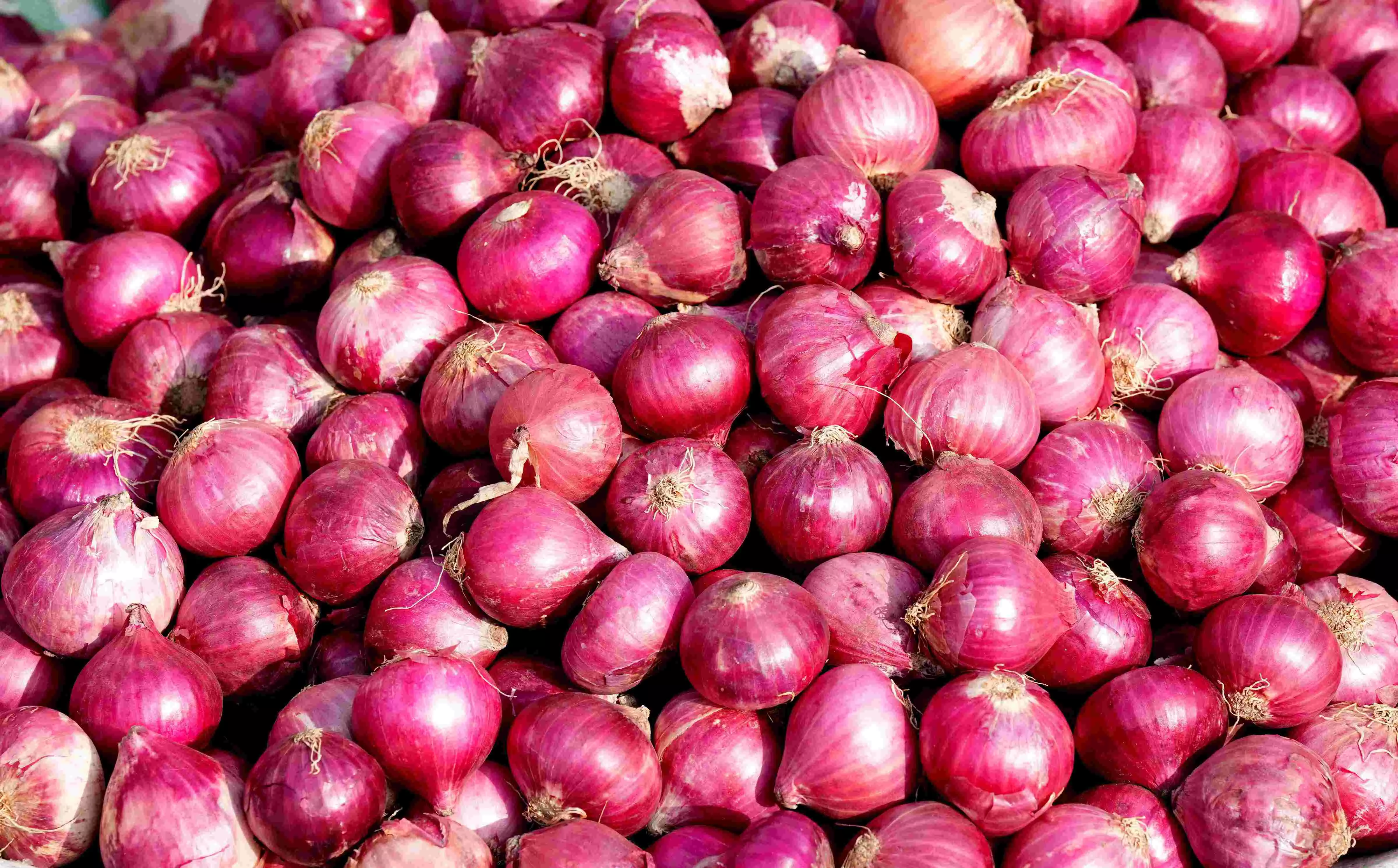 Farmers climb atop water tank to protest drop in onion prices at Lasalgaon APMC