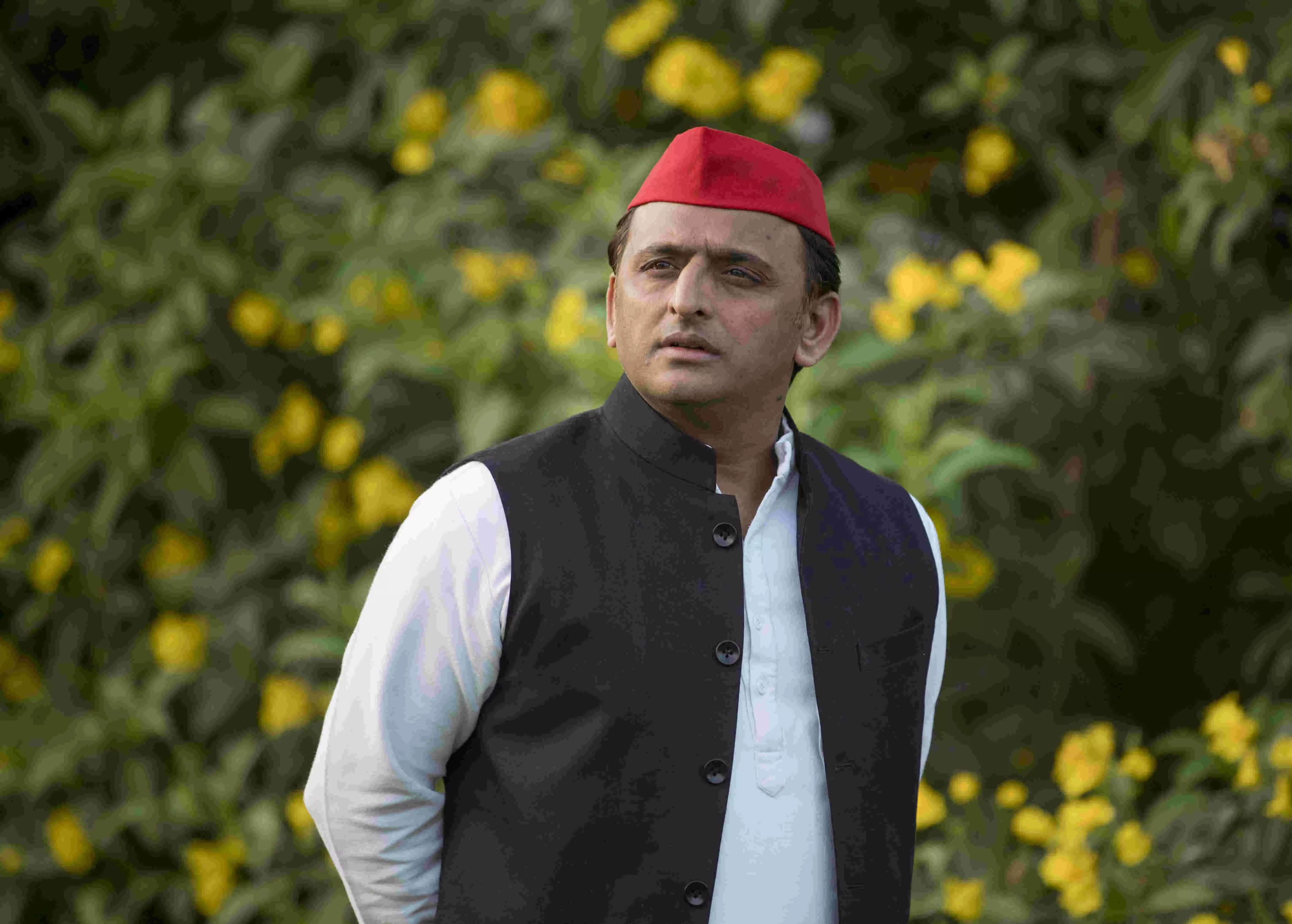 BJP has weakened India economically, socially: Akhilesh Yadav