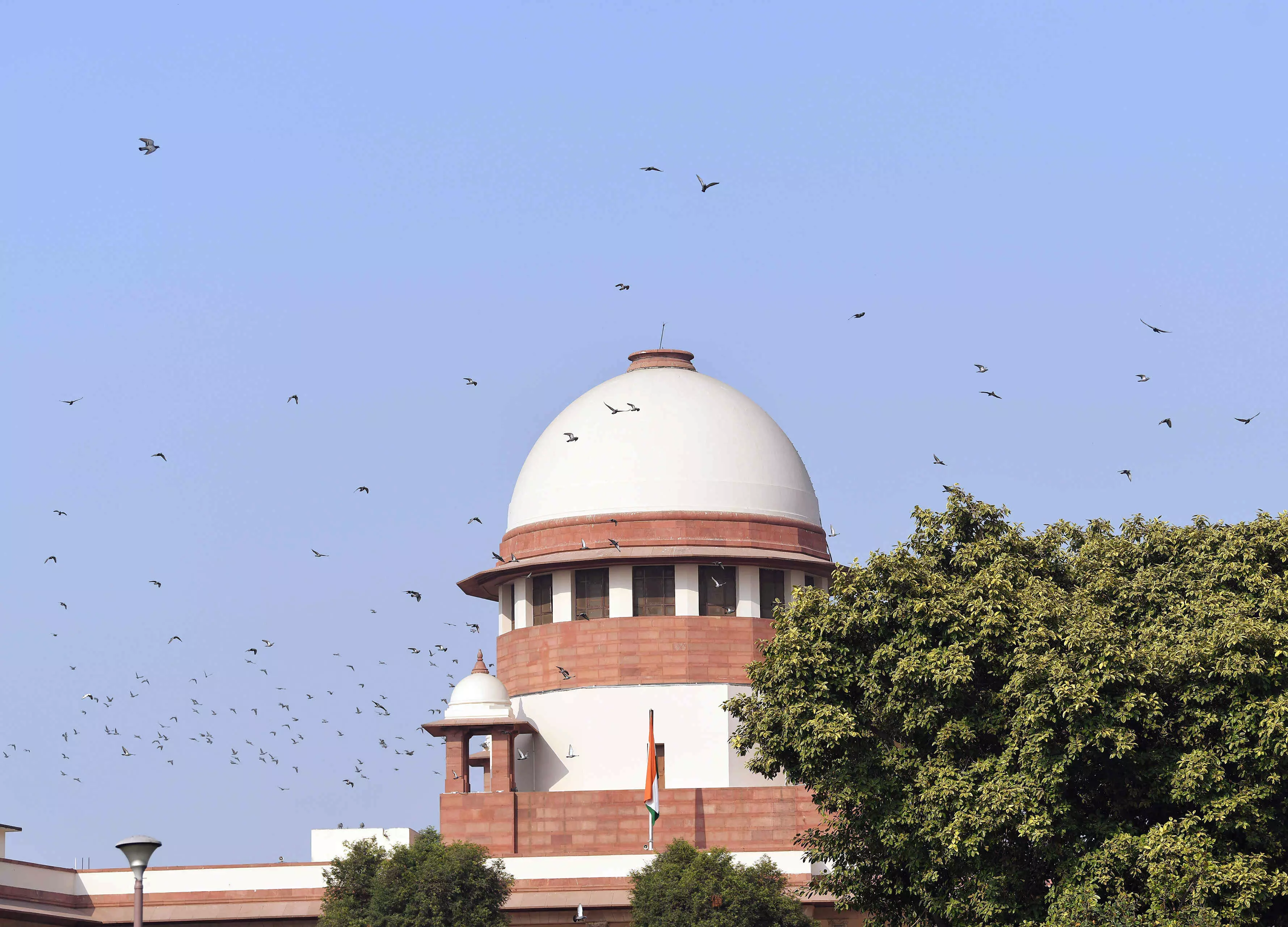 Centre seeks settlement on mineral royalty dispute, SC defers hearing to April 24